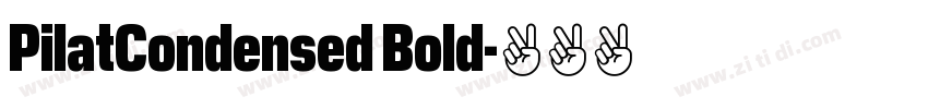 PilatCondensed Bold字体转换